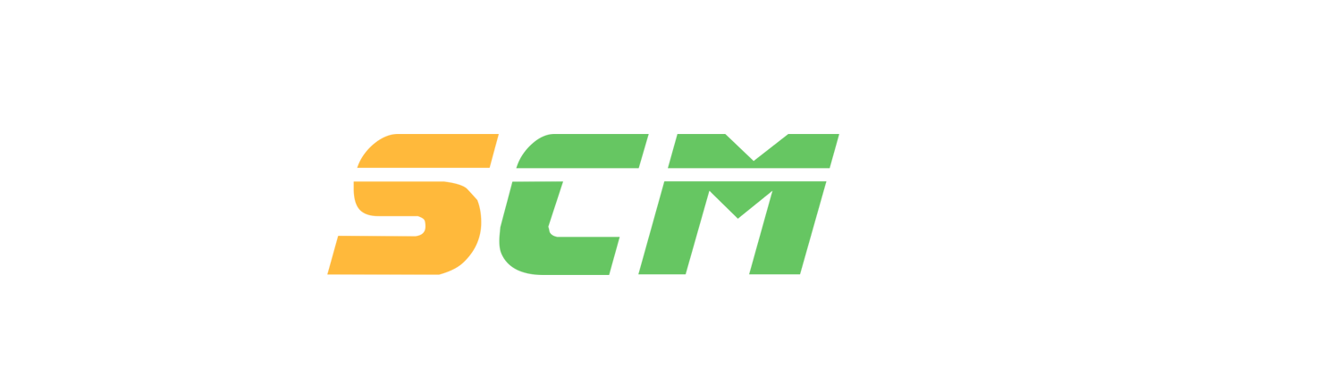 Logo Footer